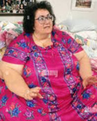 yomomma