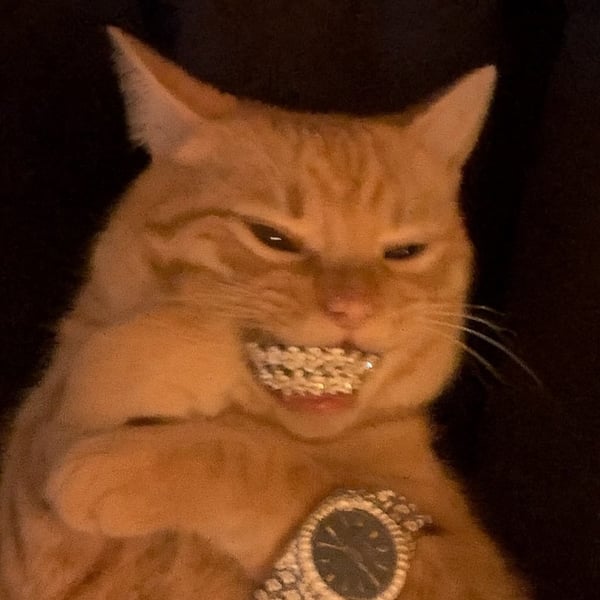 bling sphinx 